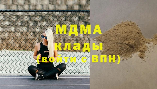 прущие грибы Балабаново