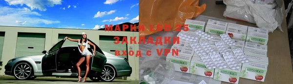 прущие грибы Балабаново