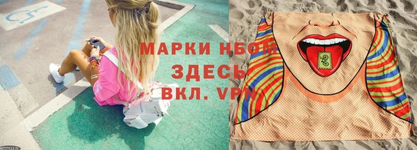 прущие грибы Балабаново